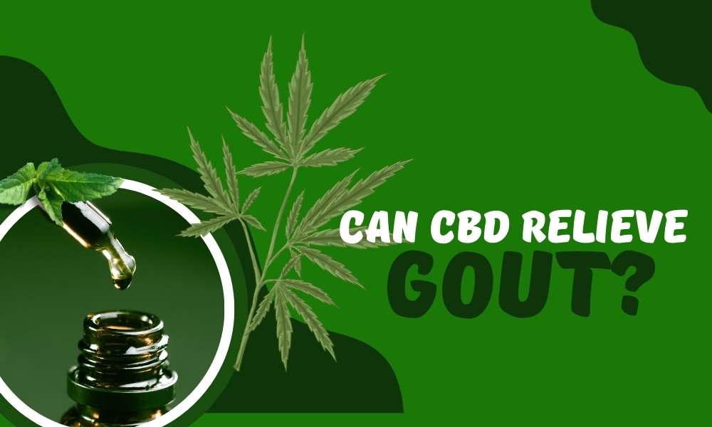 can cbd cure gout