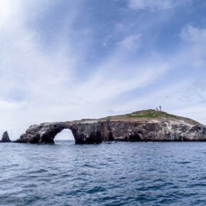 Whale-watching in Channel Islands, CA
