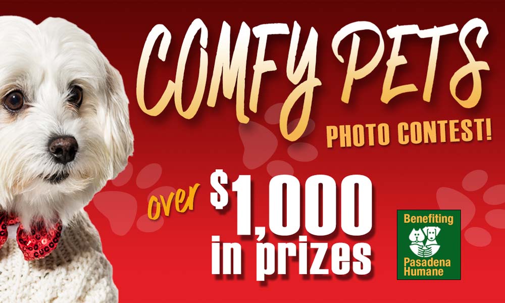 Comfy pets photo contest